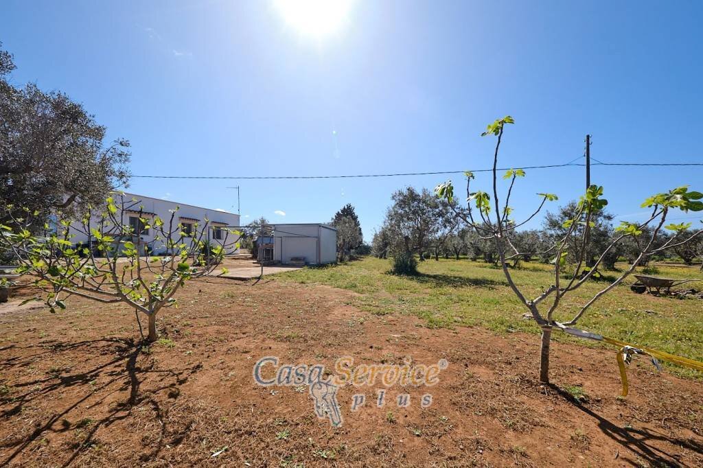 Terreno - Villa SP223, Gallipoli - foto 3