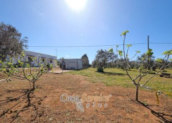 Terreno - Villa SP223, Gallipoli - foto 3