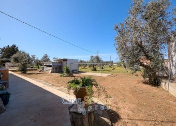 Terreno - Villa SP223, Gallipoli - foto 5