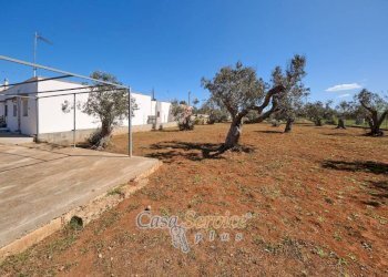 Terreno - Villa SP223, Gallipoli - foto 9