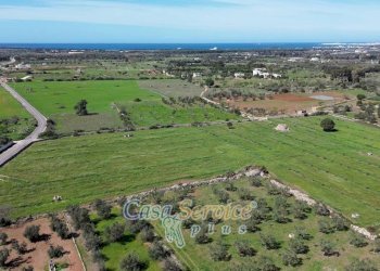 Vista - Villa SP223, Gallipoli - foto 49