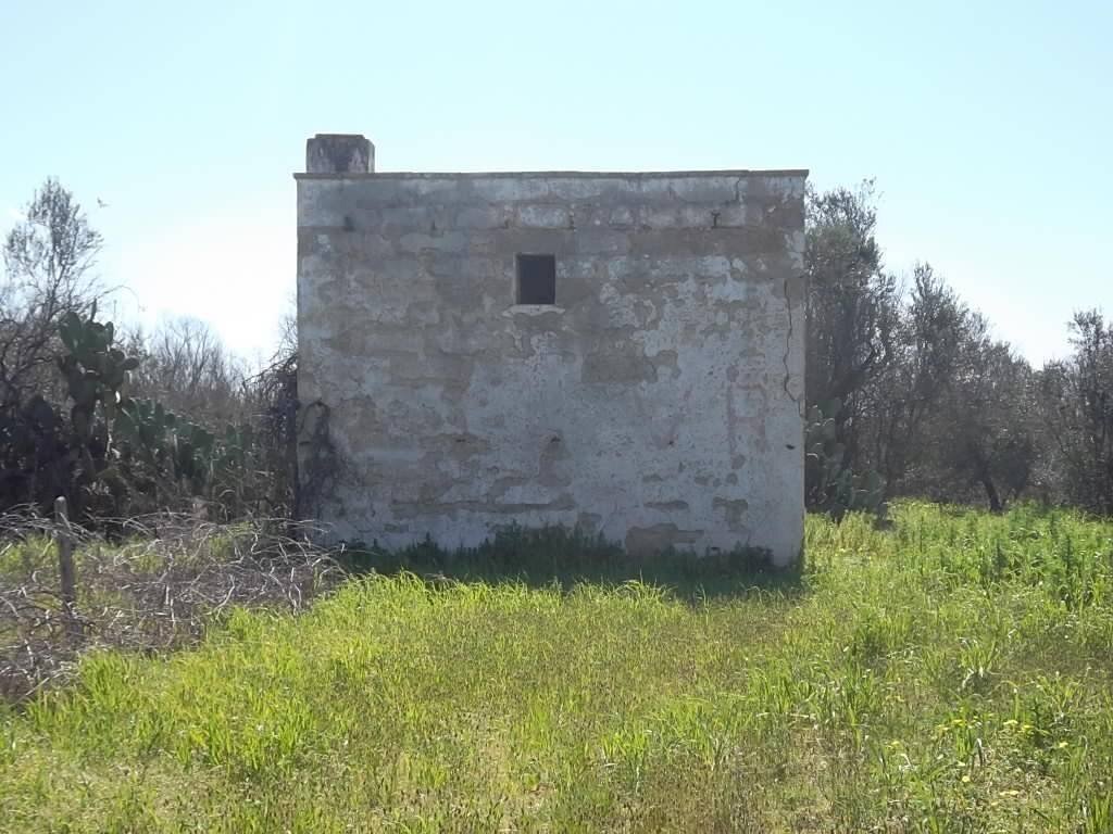 Rustic SP321, Casarano - photo 1