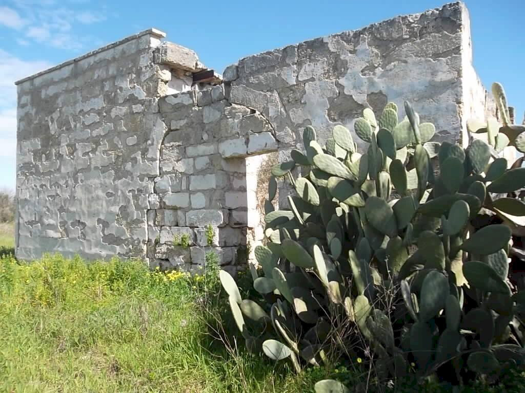 Rustic SP321, Casarano - photo 3