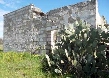 Rustic SP321, Casarano - photo 3