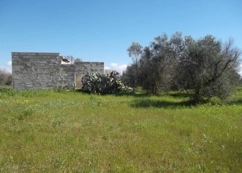 Rustic SP321, Casarano - photo 8