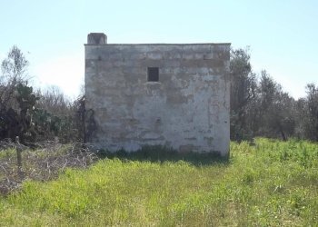 Rustic SP321, Casarano - photo 10