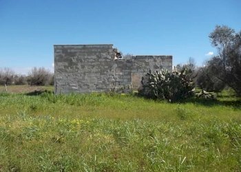 Rustic SP321, Casarano - photo 11