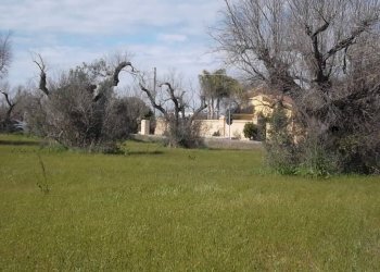Rustic SP321, Casarano - photo 12