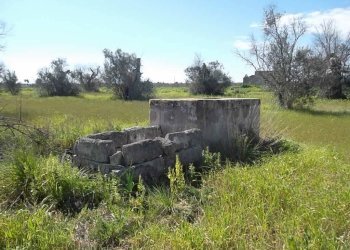 Rustic SP321, Casarano - photo 14