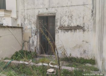 Giardino - Casa indipendente via Giuseppe Mazzini, Racale - foto 1