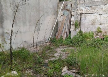 Terreno - Casa indipendente via Giuseppe Mazzini, Racale - foto 2