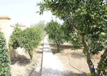 Giardino - Villa strada Comunale da Coline a Matino, Matino - foto 32