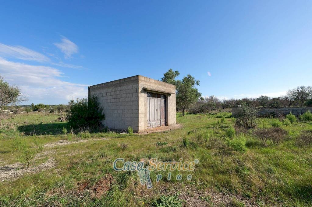 Terreno - Building land strada Vicinale Stallone 2, Matino - photo 2