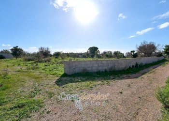 Terreno - Terreno edificabile strada Vicinale Stallone 2, Matino - foto 18