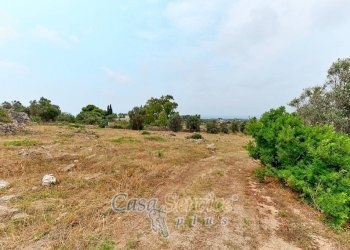 Terreno - Terreno edificabile strada Comunale Fiumi Marina, Racale - foto 11
