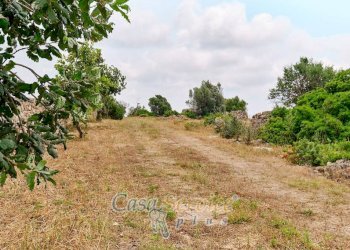 Terreno - Terreno edificabile strada Comunale Fiumi Marina, Racale - foto 13