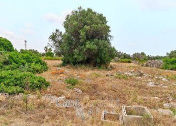 Terreno - Terreno edificabile strada Comunale Fiumi Marina, Racale - foto 15