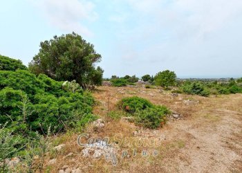 Terreno - Terreno edificabile strada Comunale Fiumi Marina, Racale - foto 16