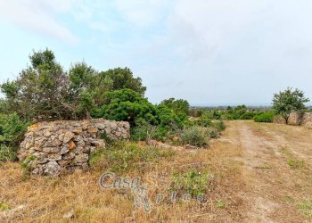 Terreno - Terreno edificabile strada Comunale Fiumi Marina, Racale - foto 17