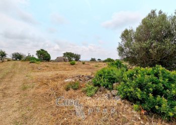 Terreno - Terreno edificabile strada Comunale Fiumi Marina, Racale - foto 19