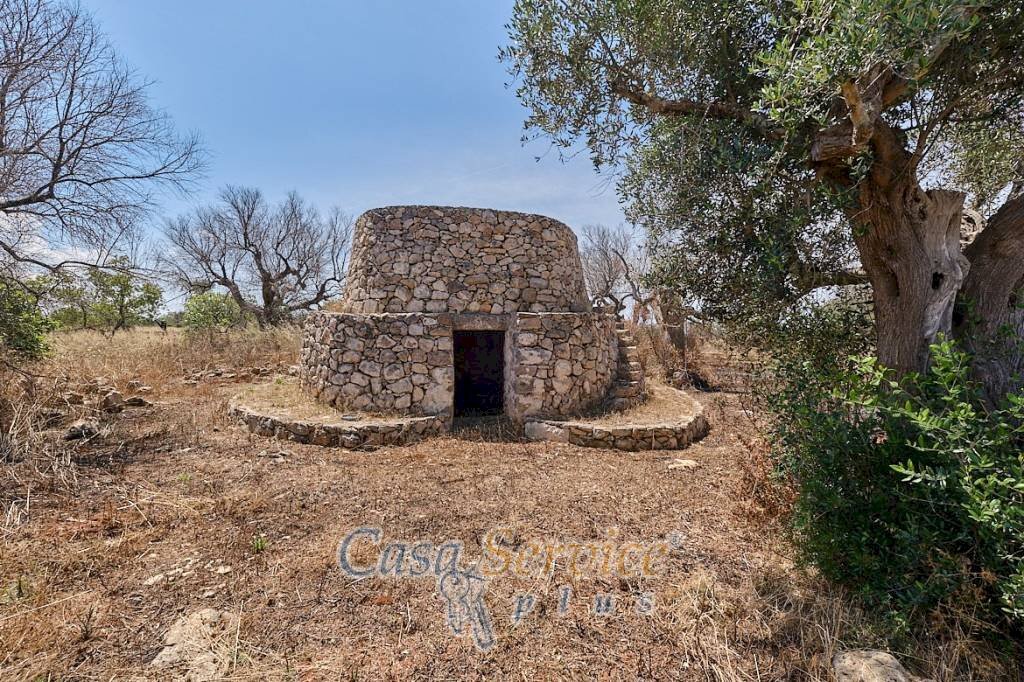 Terreno - Rustic via Masseria Li Giannelli, Taviano - photo 1