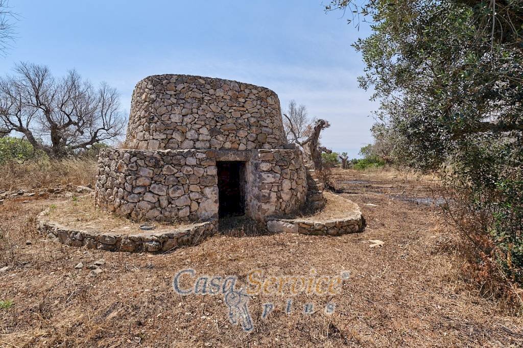 Terreno - Rustic via Masseria Li Giannelli, Taviano - photo 2