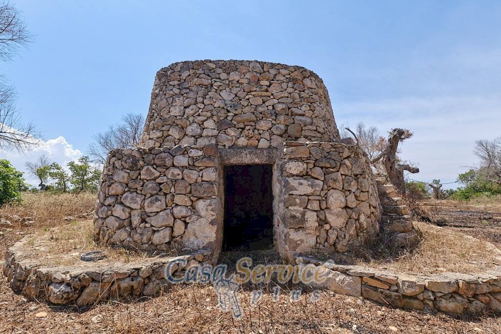 Terreno - Rustic via Masseria Li Giannelli, Taviano - photo 3