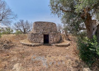 Terreno - Rustic via Masseria Li Giannelli, Taviano - photo 1