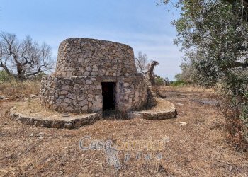 Terreno - Rustic via Masseria Li Giannelli, Taviano - photo 2