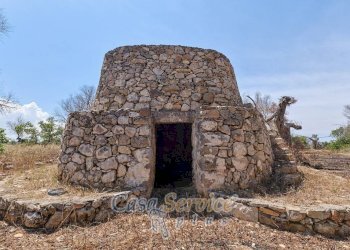 Terreno - Rustic via Masseria Li Giannelli, Taviano - photo 3
