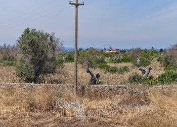 Terreno - Rustic via Masseria Li Giannelli, Taviano - photo 5
