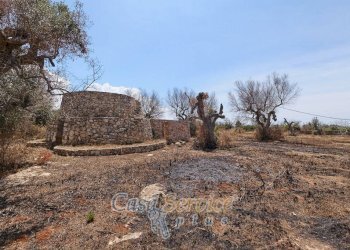 Terreno - Rustic via Masseria Li Giannelli, Taviano - photo 8