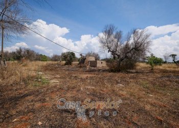 Terreno - Rustic via Masseria Li Giannelli, Taviano - photo 9
