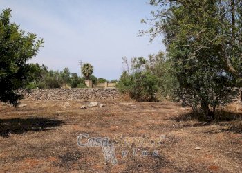 Terreno - Rustic via Masseria Li Giannelli, Taviano - photo 12