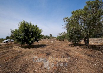 Terreno - Rustic via Masseria Li Giannelli, Taviano - photo 13