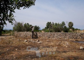 Terreno - Rustic via Masseria Li Giannelli, Taviano - photo 14