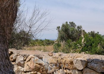 Terreno - Rustic via Masseria Li Giannelli, Taviano - photo 15