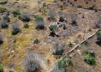 Terreno - Rustic via Masseria Li Giannelli, Taviano - photo 19