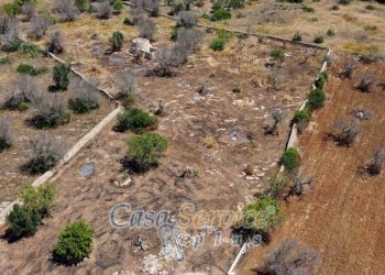 Terreno - Rustic via Masseria Li Giannelli, Taviano - photo 20