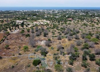 Vista - Rustic via Masseria Li Giannelli, Taviano - photo 21