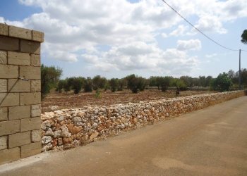 Zona - Rustic strada Comunale da Casarano a Supersano, Casarano - photo 12