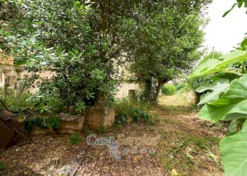 Giardino - Stabile - Palazzo via Roma, Alezio - foto 28