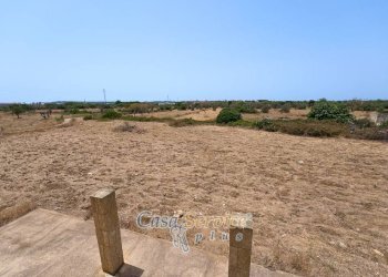 Terreno - Villa strada Provinciale per Alezio, Gallipoli - foto 24