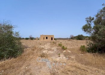 Terreno - Villa strada Provinciale per Alezio, Gallipoli - foto 26