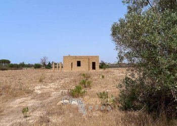 Terreno - Villa strada Provinciale per Alezio, Gallipoli - foto 27