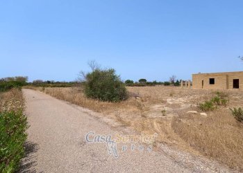 Terreno - Villa strada Provinciale per Alezio, Gallipoli - foto 28