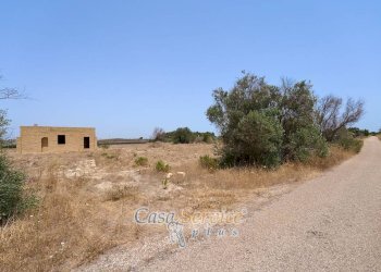 Terreno - Villa strada Provinciale per Alezio, Gallipoli - foto 29