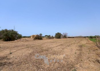Terreno - Villa strada Provinciale per Alezio, Gallipoli - foto 30