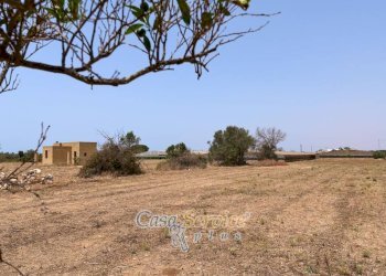Terreno - Villa strada Provinciale per Alezio, Gallipoli - foto 31