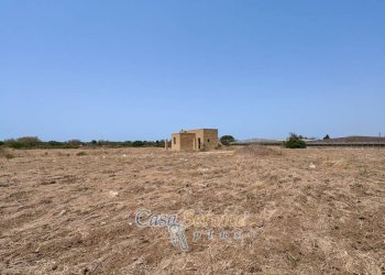 Terreno - Villa strada Provinciale per Alezio, Gallipoli - foto 3